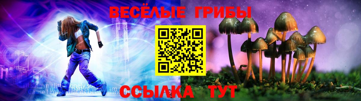 Галлюциногенные грибы Psilocybine cubensis Мичуринск